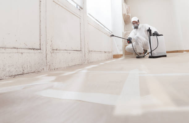 24/7 Emergency Mold Remediation experts in Hamilton, GA